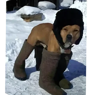 Sticker Хз чо эта - 6