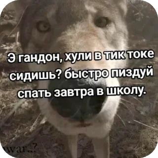 Sticker Хз чо эта - 11