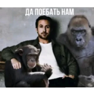 Sticker Хз какаха наверно - 1