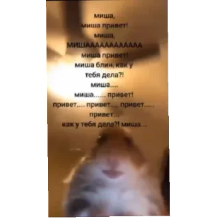 Стикер Хз, типо мемчики - 1