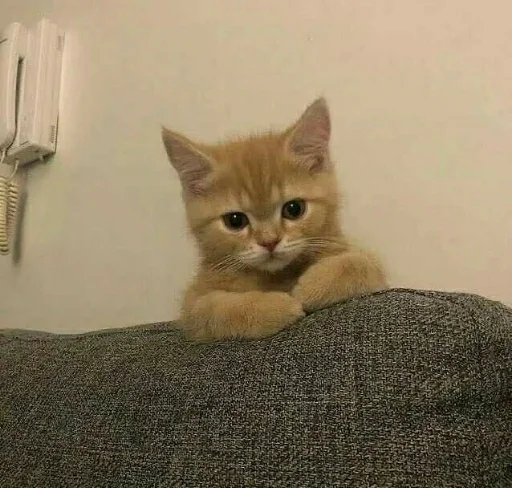 Стикер I7ECUK - 1