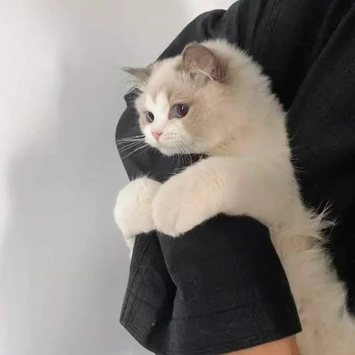 Стикер I7ECUK - 1