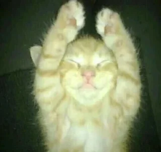 Стикер @KPACHbIU_6OPLLj, лютый челик - 6