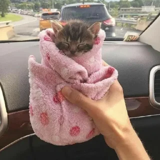 Стикер @KPACHbIU_6OPLLj, лютый челик - 1