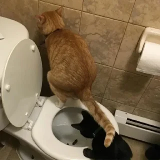 Стикер @KPACHbIU_6OPLLj, лютый челик - 11