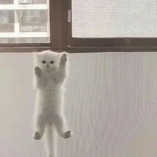 Стикер @KPACHbIU_6OPLLj, лютый челик - 2