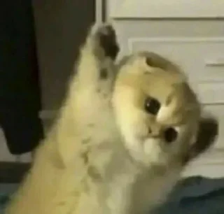 Стикер @KPACHbIU_6OPLLj, лютый челик - 3