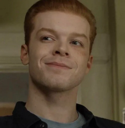 Человек человеческое лицо комнатный