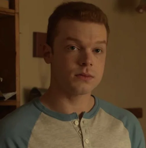 Человек человеческое лицо комнатный