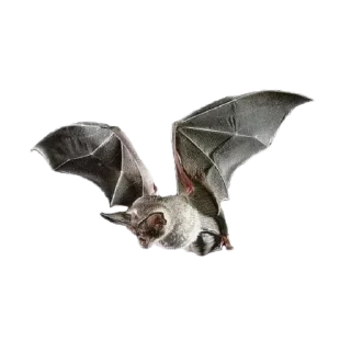 Стикер Стикеры тут: @stikeryv - 7