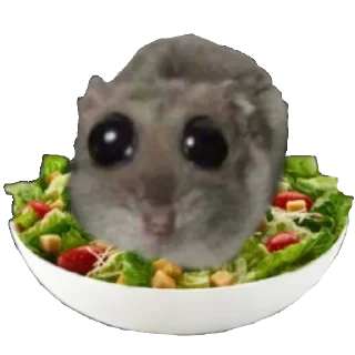 Sticker @sticksbb 🩷 <- канал со стиками - 10