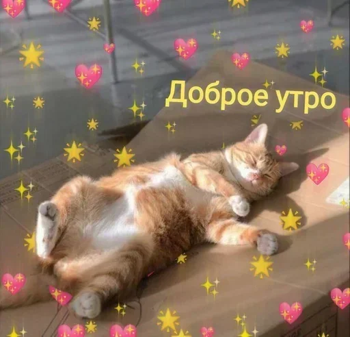 Стикеры @stikerk877 - 