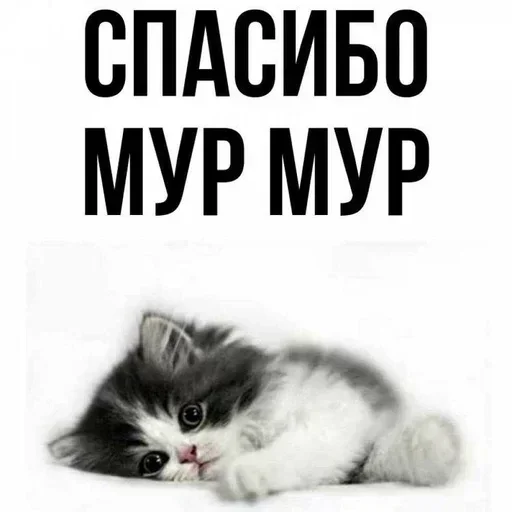 Стикер IIoxcgOo_by_stickers_stealer_bot - 1