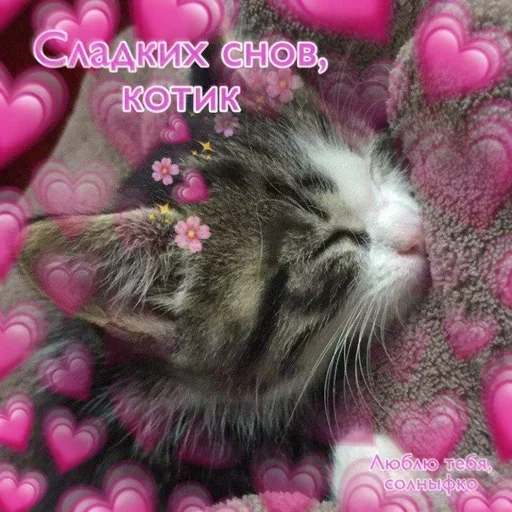 Стикер IIoxcgOo_by_stickers_stealer_bot - 1