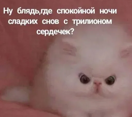 Стикер IIoxcgOo_by_stickers_stealer_bot - 1