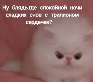 Стикер Стикеры @stikerk877 - 0