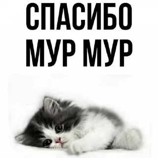 Стикер Стикеры @stikerk877 - 4