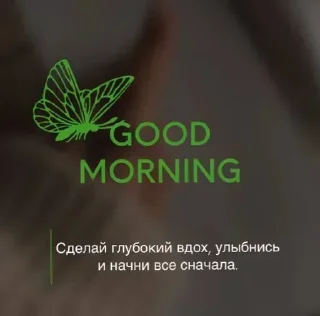 Стикер Стикеры @stikerk877 - 1