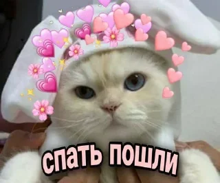 Стикер Стикеры @stikerk877 - 10