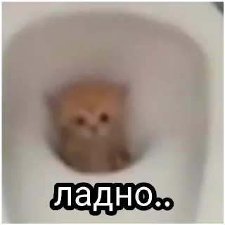 Стикер Больше стиков тут: @stikery4 - 9