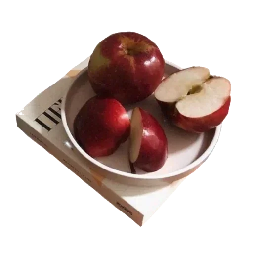 Sticker IJPOFHKQSM_by_stikerykkk_bot - 1