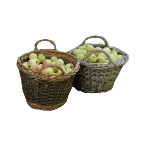 Sticker IJPOFHKQSM_by_stikerykkk_bot - 1