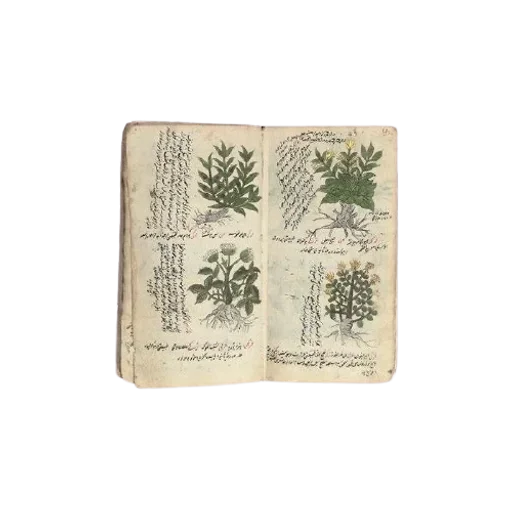 Sticker IJPOFHKQSM_by_stikerykkk_bot - 1