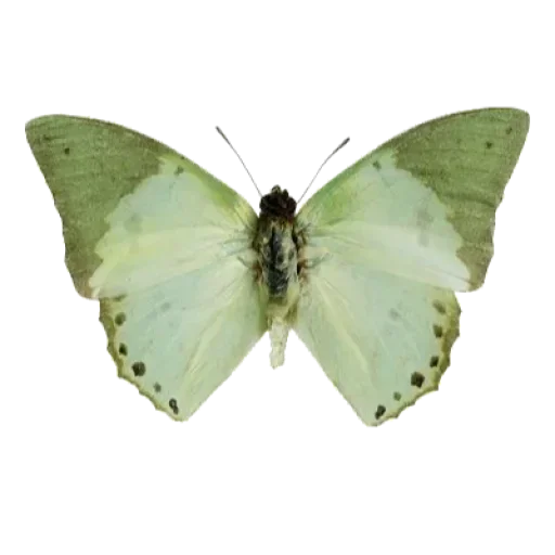 Sticker IJPOFHKQSM_by_stikerykkk_bot - 1