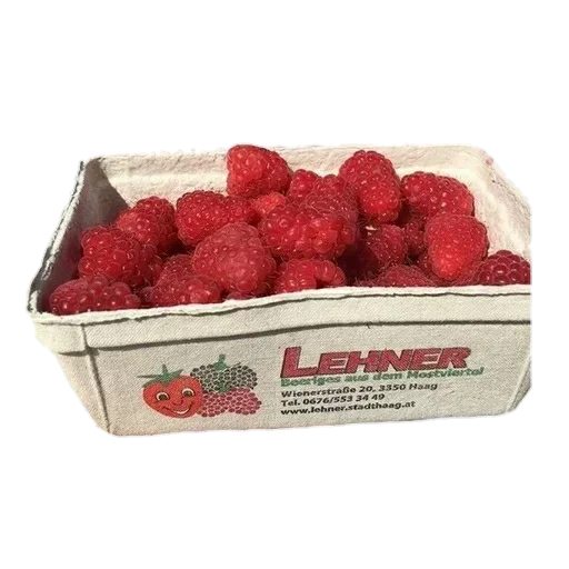 Стикер IJPOFHKQSM_by_stikerykkk_bot - 1