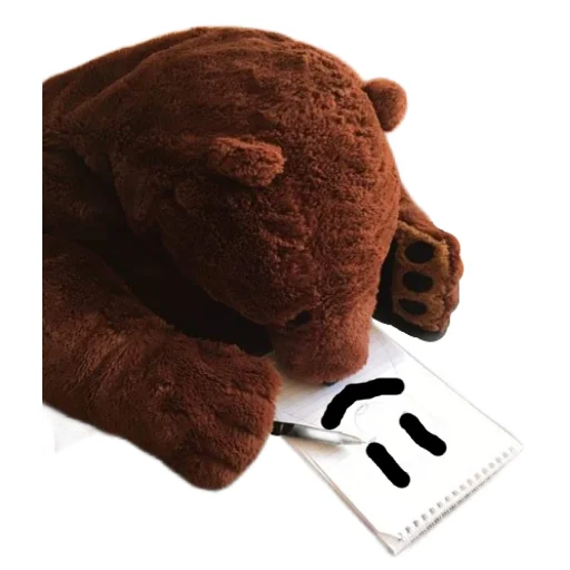 bear teddy bear indoor