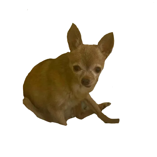 Стикер IKONA50 - 1