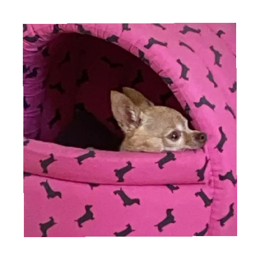 Стикер IKONA50 - 1