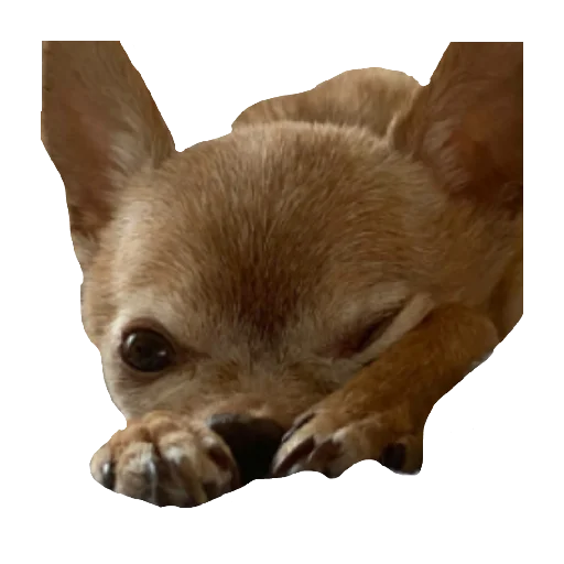 Стикер IKONA50 - 1