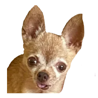 Sticker ИКОНА - 9