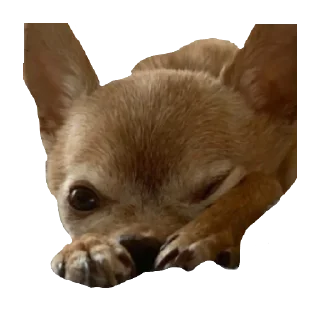 Sticker ИКОНА - 5