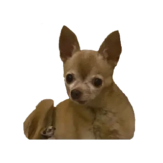 Sticker ИКОНА - 1