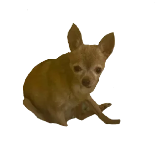 Sticker ИКОНА - 10