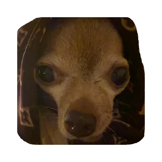 Sticker ИКОНА - 11