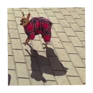 Sticker ИКОНА - 7