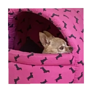 Sticker ИКОНА - 6