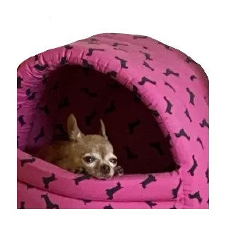 Sticker ИКОНА - 0