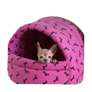 Sticker ИКОНА - 8