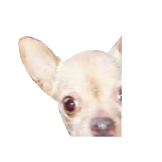 Sticker ИКОНА - 4