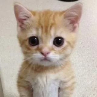 Sticker IWantToBeThere - 10