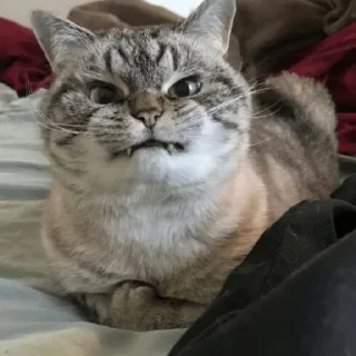 Sticker IWantToBeThere - 1