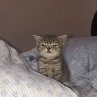 Sticker IWantToBeThere - 8