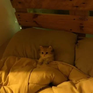 Sticker IWantToBeThere - 2