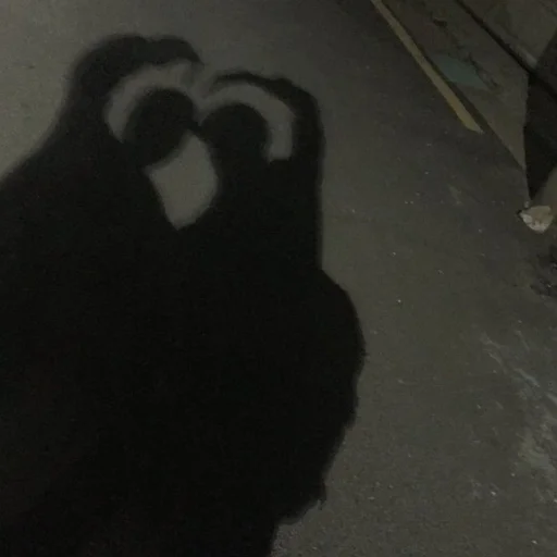 shadow ground mammal