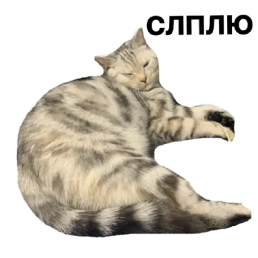 Sticker лучший в мире пак by @stqrapp - 10