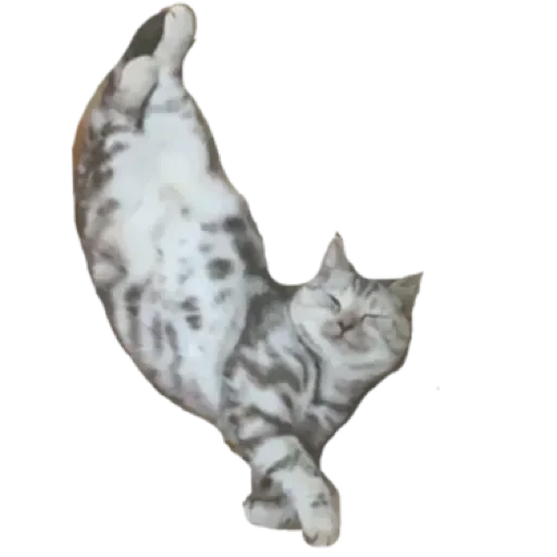 Sticker лучший в мире пак by @stqrapp - 7